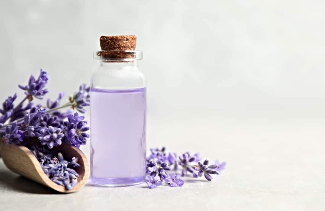 Simple Lavender Extract Substitutes (How To Use Them)