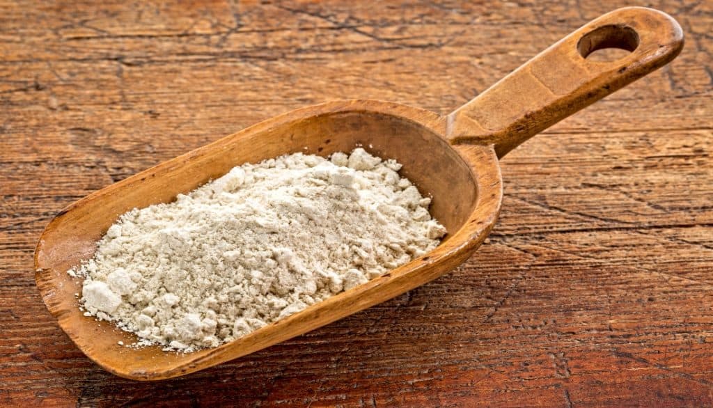 Quinoa Flour scooped