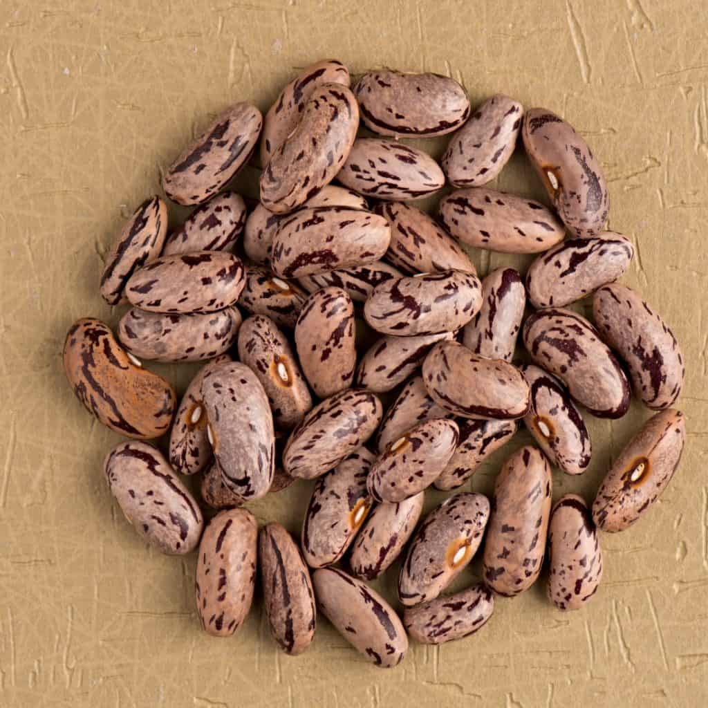 Cranberry Beans vs Pinto Beans (Everything You Need To Know) Treat Dreams