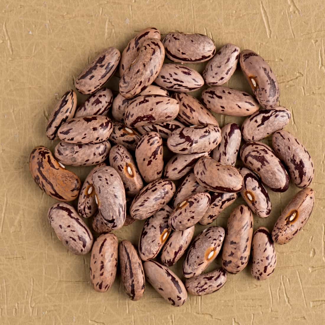 pile of pinto beans on table
