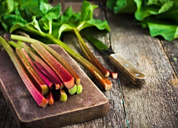 Strawberry Rhubarb Pie Without Tapioca Treat Dreams