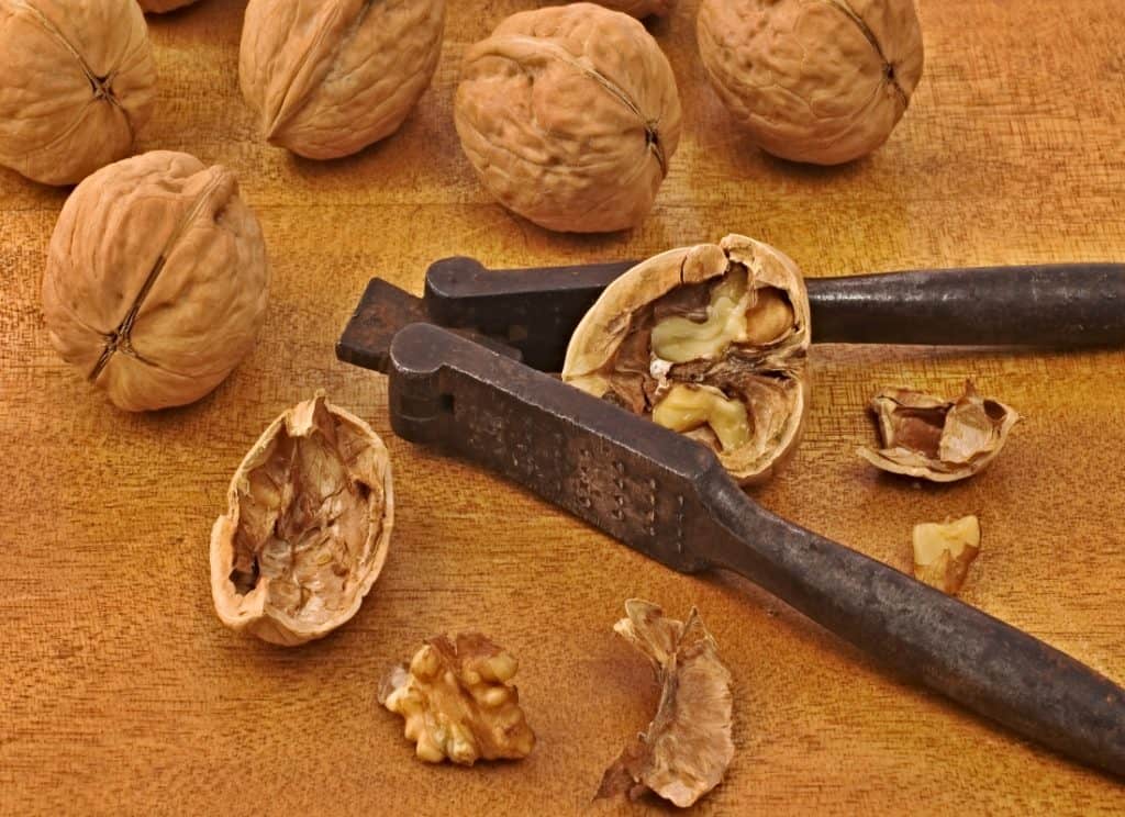 closeup of whole and crushed walnuts